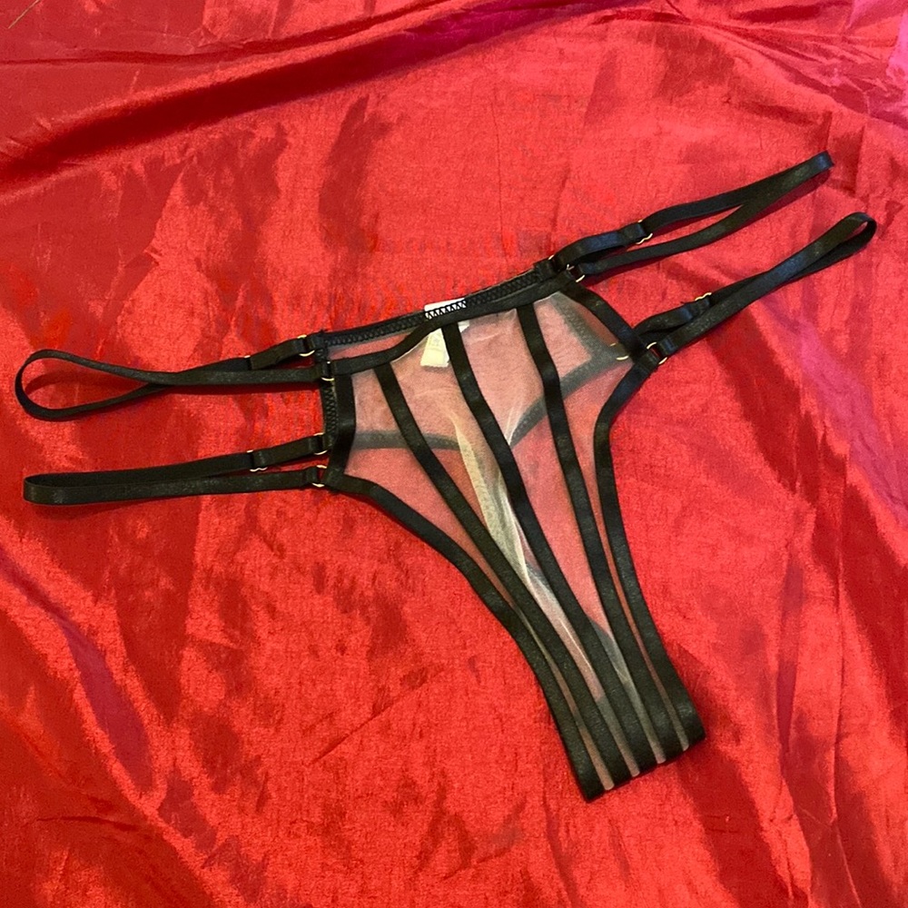 Sexy Sheer Panties SZ L